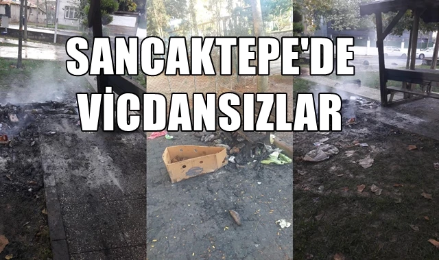 Sancaktepe’de vicdansızlar parklara zarar veriyor