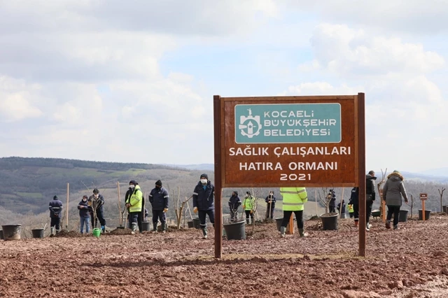 Sağlık çalışanlarına hatıra ormanı