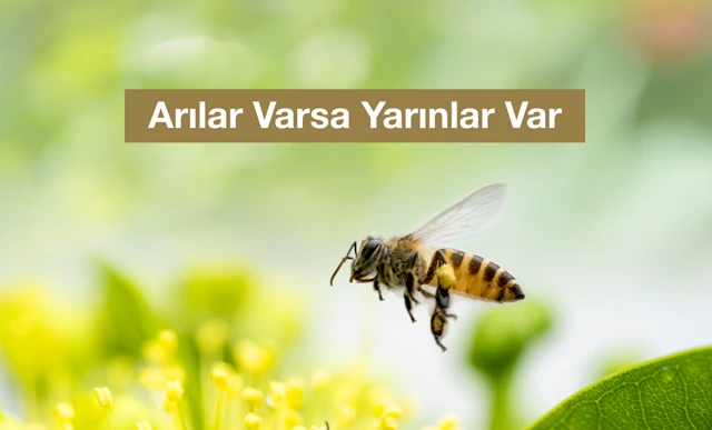 “Arılar Varsa Yarınlar Var” Diyerek Çocuklara Arının Önemini Anlatmaya Devam Ediyoruz
