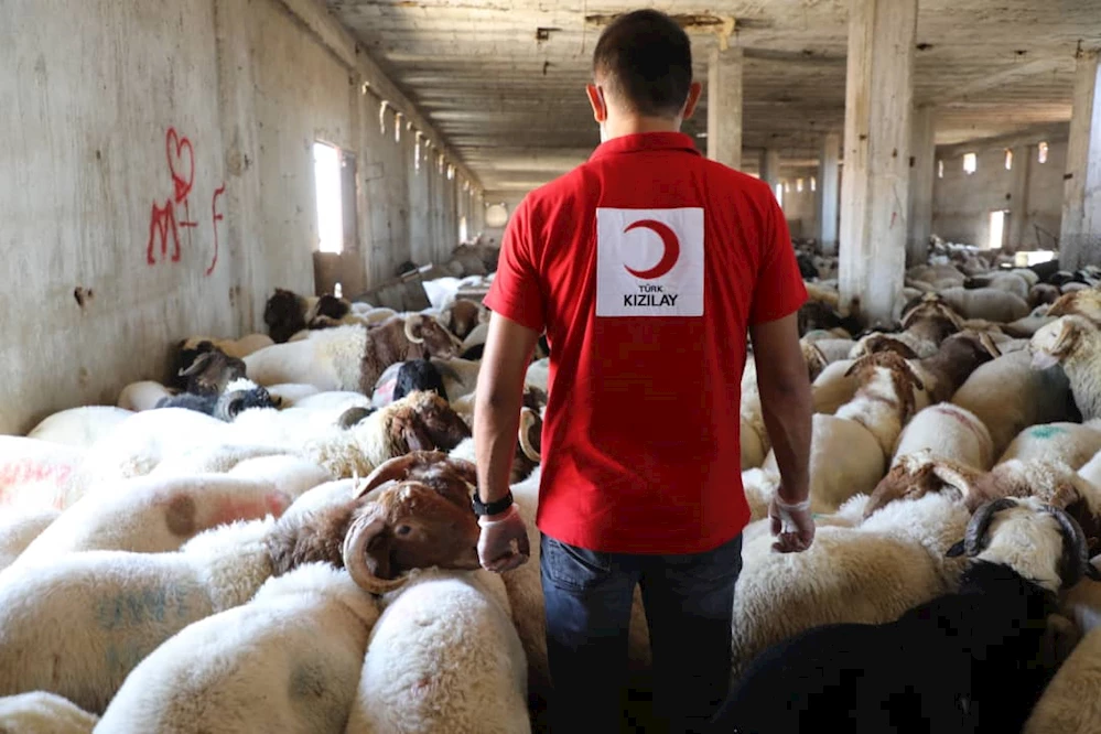 Türkiye ve 21 ülkede kurban kesimleri başladı
