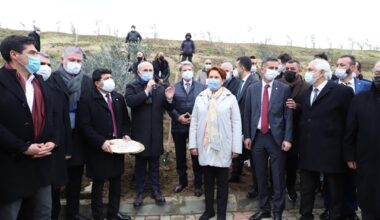 Akşener’in katılımıyla 382 sağlık çalışanı anısına zeytin ağacı dikildi