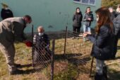 Kırklareli Belediyesi de Artık Bir Karınca Yuvasına Ev Sahipliği Yapıyor